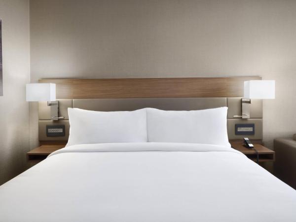 AC Hotel by Marriott Louisville Downtown : photo 1 de la chambre chambre lit king-size avec canapé-lit