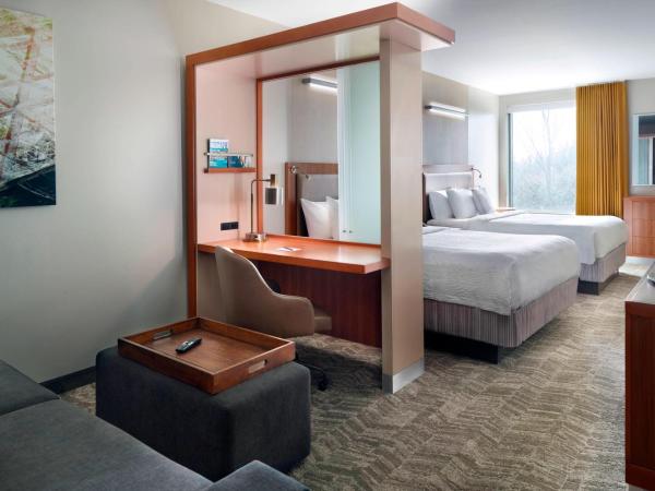 SpringHill Suites by Marriott Atlanta Airport Gateway : photo 2 de la chambre suite lit queen-size avec canapé-lit