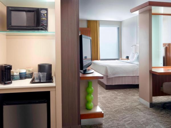 SpringHill Suites by Marriott Atlanta Airport Gateway : photo 4 de la chambre suite lit king-size avec canapé-lit