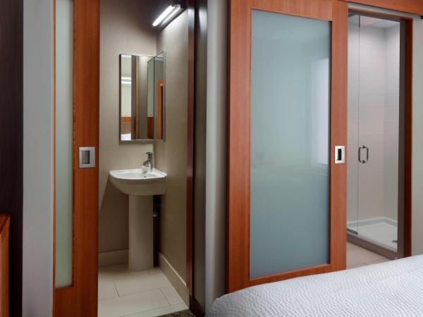 SpringHill Suites by Marriott Atlanta Airport Gateway : photo 5 de la chambre suite lit king-size avec canapé-lit