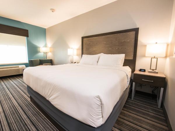 Holiday Inn Express & Suites Houston - Hobby Airport Area, an IHG Hotel : photo 2 de la chambre suite lit king-size – non-fumeurs