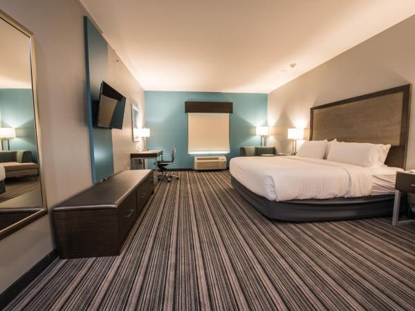 Holiday Inn Express & Suites Houston - Hobby Airport Area, an IHG Hotel : photo 7 de la chambre chambre standard