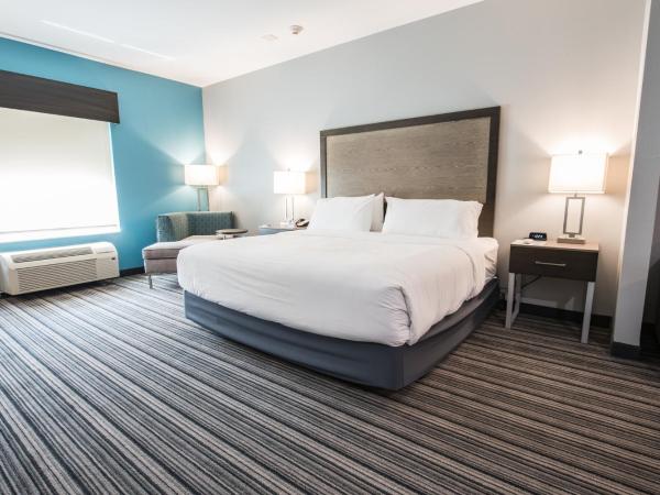 Holiday Inn Express & Suites Houston - Hobby Airport Area, an IHG Hotel : photo 10 de la chambre chambre lit king-size loisirs - non-fumeurs