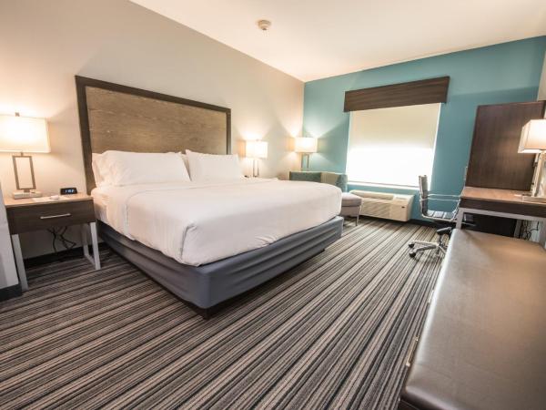 Holiday Inn Express & Suites Houston - Hobby Airport Area, an IHG Hotel : photo 6 de la chambre chambre lit king-size loisirs - non-fumeurs