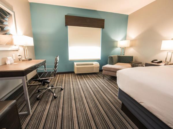 Holiday Inn Express & Suites Houston - Hobby Airport Area, an IHG Hotel : photo 7 de la chambre chambre lit king-size loisirs - non-fumeurs