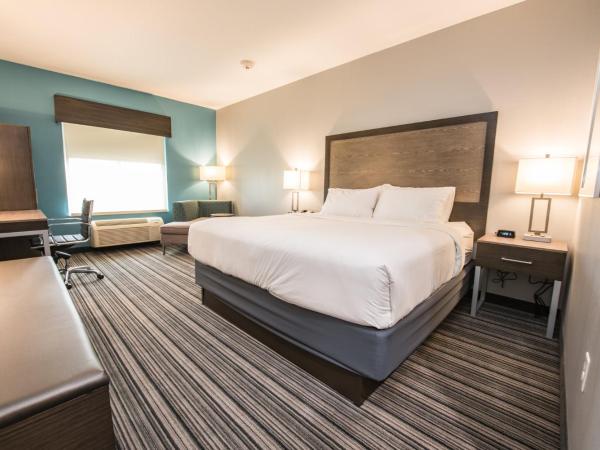 Holiday Inn Express & Suites Houston - Hobby Airport Area, an IHG Hotel : photo 9 de la chambre chambre lit king-size - accessible aux personnes à mobilité réduite / adapté aux malentendants