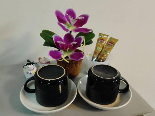 Naturbliss Resort Village : photo 2 de la chambre chambre double avec salle de bains privative extérieure