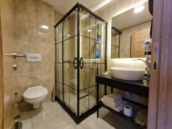 Air Boss Istanbul Airport and Fair Hotel : photo 8 de la chambre chambre double ou lits jumeaux standard