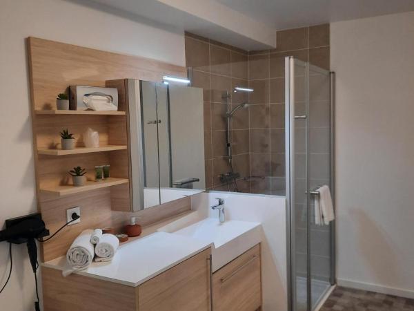 DOMITYS LA GALLIQUE : photo 1 de la chambre studio