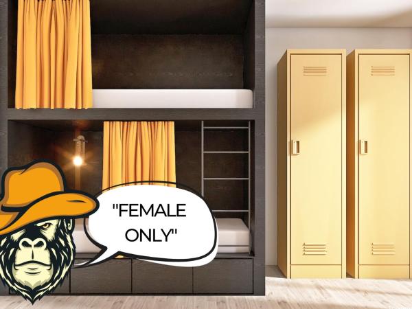 Stadtaffe - Chic Hostel VIE : photo 1 de la chambre lit dans dortoir pour femmes de 4 lits