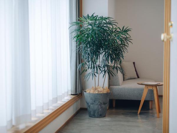 Hotel Noum OSAKA : photo 3 de la chambre chambre botanique avec lits superposés