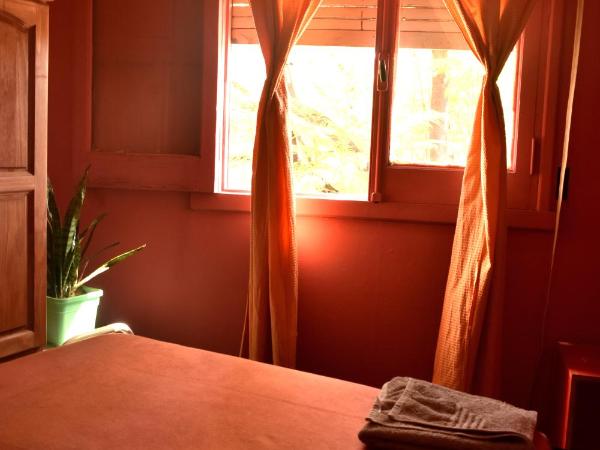 Hostel Joven casa Reggae : photo 7 de la chambre chambre double ou lits jumeaux Économique 