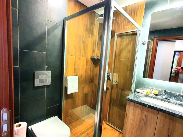 Center Inn Hotel Maltepe İstanbul : photo 5 de la chambre chambre deluxe