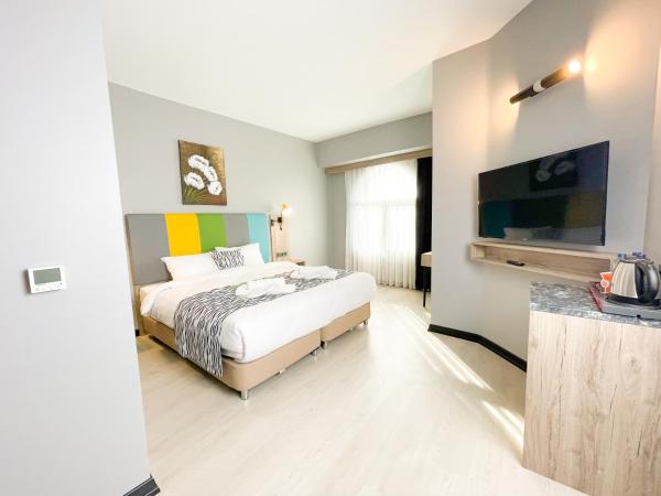 Center Inn Hotel Maltepe İstanbul : photo 1 de la chambre chambre deluxe