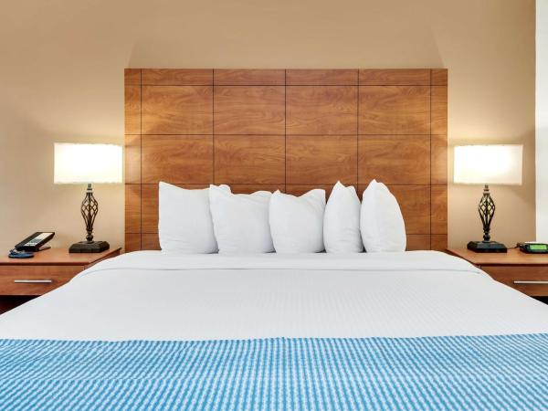 Best Western Orlando Gateway Hotel : photo 6 de la chambre suite lit king-size avec canapé-lit - non-fumeurs