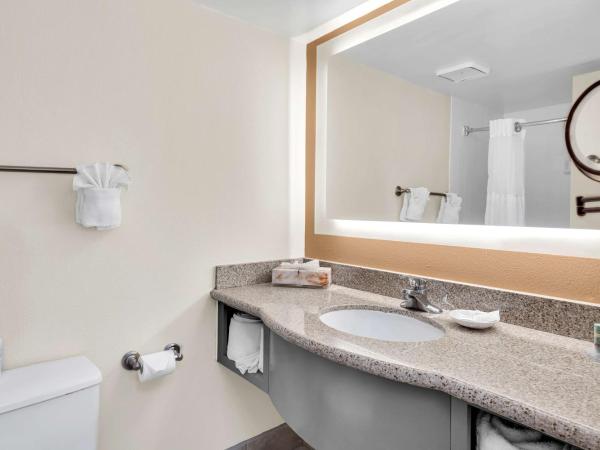 Best Western Orlando Gateway Hotel : photo 4 de la chambre premium room 2 double beds with a waterview