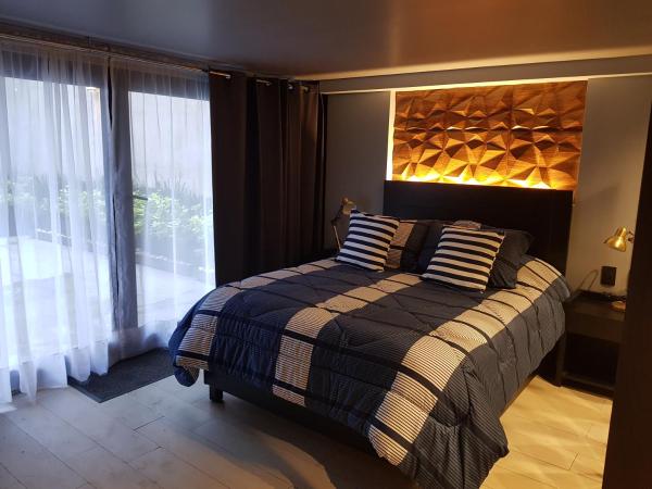 Business SUITES KEPLER : photo 9 de la chambre suite avec terrasse 