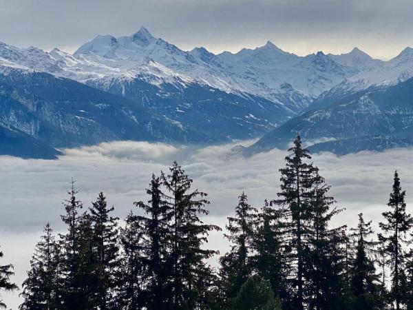 Colorado Riders Chalet : photo 6 de la chambre chambre double - vue sur montagne