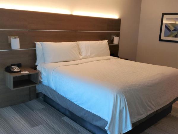 Holiday Inn Express & Suites San Antonio West Sea World Area, an IHG Hotel : photo 2 de la chambre chambre lit king-size standard