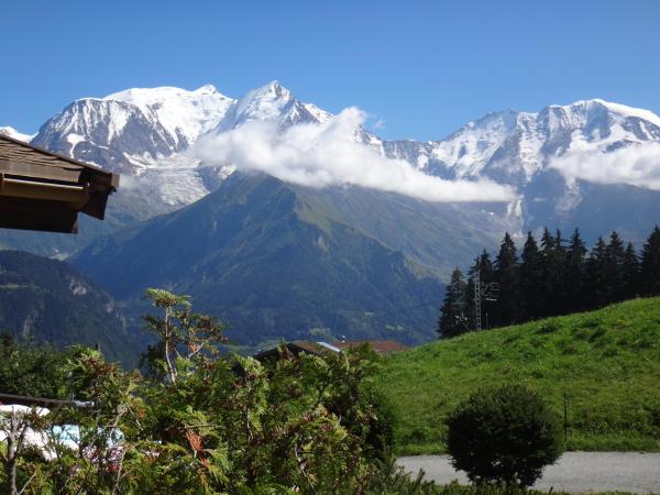 Chalet Gabriel : photo 2 de la chambre studio - vue sur mont blanc - 4 personnes 