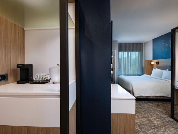 SpringHill Suites by Marriott Austin North : photo 3 de la chambre suite lit king-size avec lit gigogne