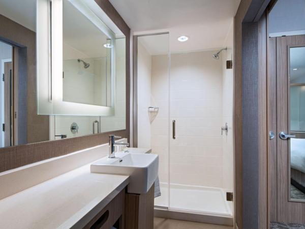 SpringHill Suites by Marriott Austin North : photo 10 de la chambre suite lit king-size avec lit gigogne