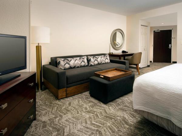 SpringHill Suites by Marriott Jacksonville North I-95 Area : photo 2 de la chambre studio lit king-size avec canapé-lit