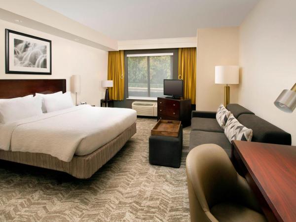 SpringHill Suites by Marriott Jacksonville North I-95 Area : photo 3 de la chambre studio lit king-size avec canapé-lit