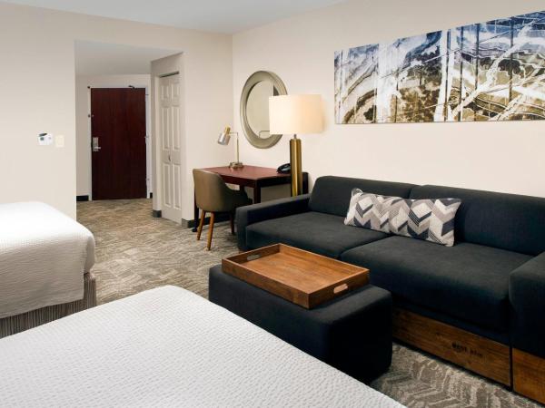 SpringHill Suites by Marriott Jacksonville North I-95 Area : photo 1 de la chambre studio lit queen-size avec canapé-lit