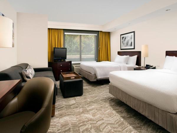 SpringHill Suites by Marriott Jacksonville North I-95 Area : photo 3 de la chambre studio lit queen-size avec canapé-lit