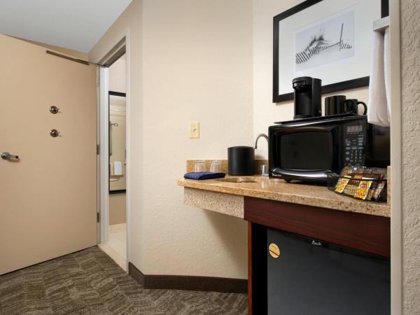 SpringHill Suites by Marriott Jacksonville North I-95 Area : photo 6 de la chambre studio lit king-size avec canapé-lit