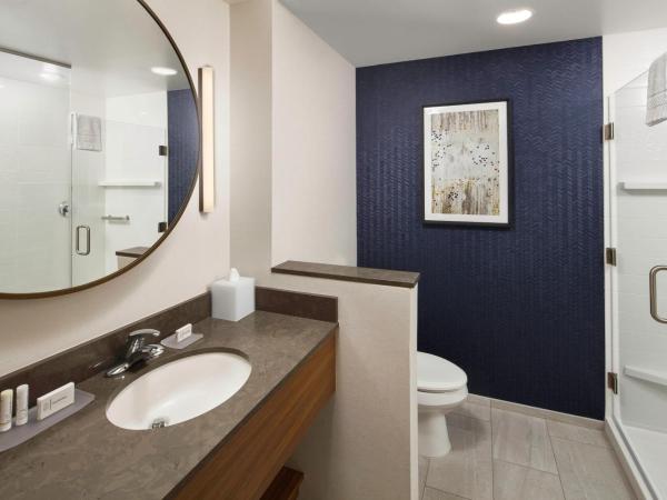 Fairfield Inn & Suites By Marriott Louisville Northeast : photo 3 de la chambre suite lit king-size exécutive avec canapé-lit