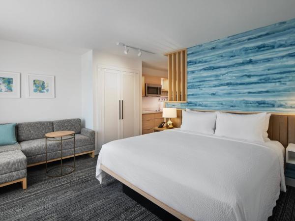 TownePlace Suites by Marriott Tampa Casino Area : photo 1 de la chambre studio avec lit king-size et canapé-lit