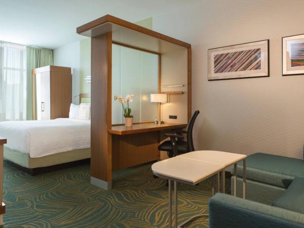 SpringHill Suites by Marriott Nashville Vanderbilt/West End : photo 1 de la chambre suite lit king-size avec canapé-lit