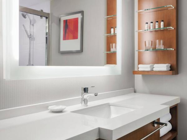 Delta Hotels by Marriott - Indianapolis Airport : photo 4 de la chambre chambre 1 lit king-size avec canapé-lit