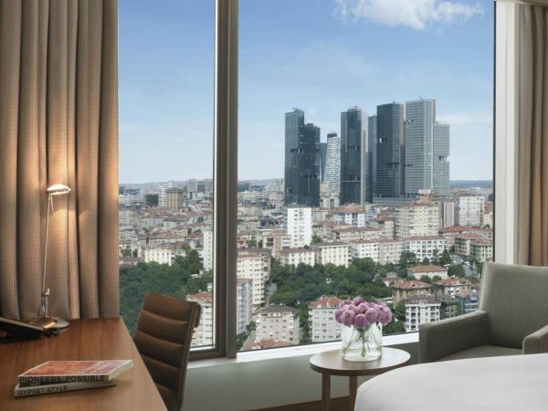 Renaissance Istanbul Polat Bosphorus Hotel : photo 3 de la chambre chambre lit king-size exécutive avec accès au salon club – vue sur ville
