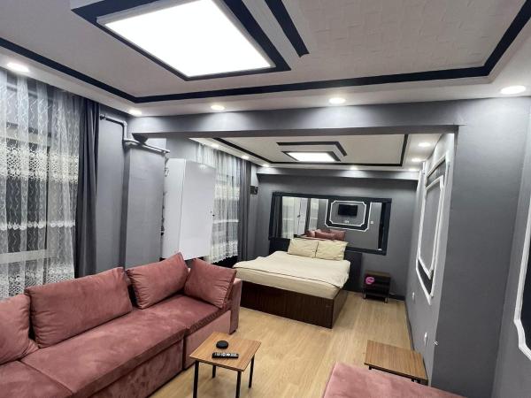 MAVİ KONAKLAMA : photo 2 de la chambre studio