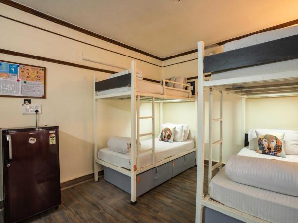 Zostel Delhi : photo 7 de la chambre lit dans dortoir 6 lits