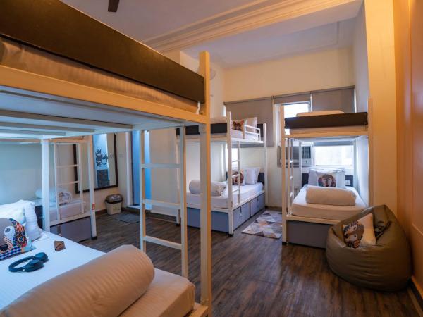 Zostel Delhi : photo 2 de la chambre lit dans dortoir de 8 lits 