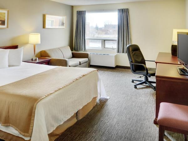 Travelodge Hotel by Wyndham Vancouver Airport : photo 6 de la chambre chambre lit king-size - non-fumeurs