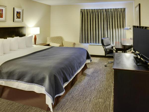 Travelodge Hotel by Wyndham Vancouver Airport : photo 4 de la chambre chambre lit king-size - non-fumeurs