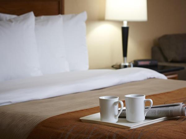 Travelodge Hotel by Wyndham Vancouver Airport : photo 6 de la chambre chambre lit queen-size - non-fumeurs