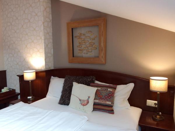 Hotel Stare Miasto Old Town : photo 3 de la chambre chambre double supérieure