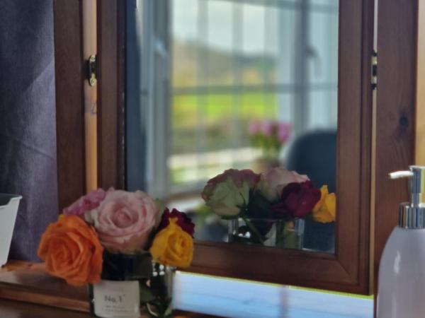 Cable Island Bed and Breakfast : photo 5 de la chambre chambre familiale