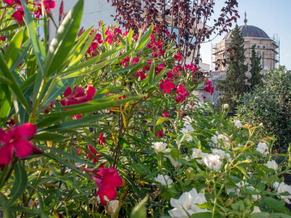 Kimon Hotel Athens : photo 6 de la chambre chambre confort