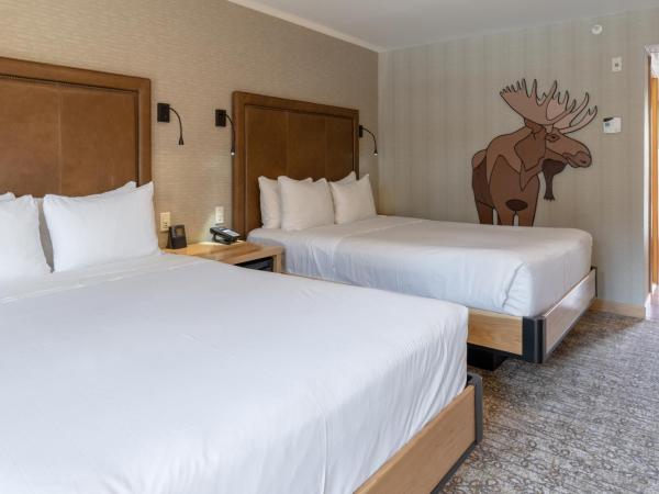Moose Hotel and Suites : photo 3 de la chambre chambre supérieure avec 2 lits queen-size