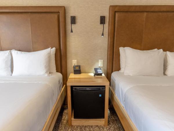 Moose Hotel and Suites : photo 8 de la chambre chambre supérieure avec 2 lits queen-size