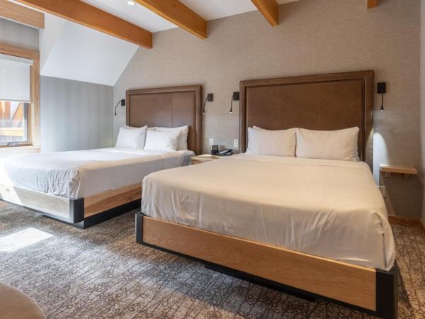 Moose Hotel and Suites : photo 4 de la chambre suite 2 chambres - dernier Étage