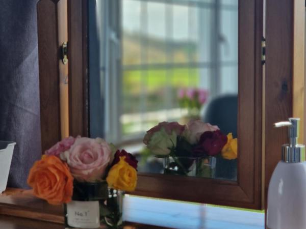 Cable Island Bed and Breakfast : photo 4 de la chambre chambre lits jumeaux