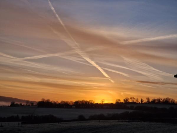 Cable Island Bed and Breakfast : photo 5 de la chambre chambre lits jumeaux